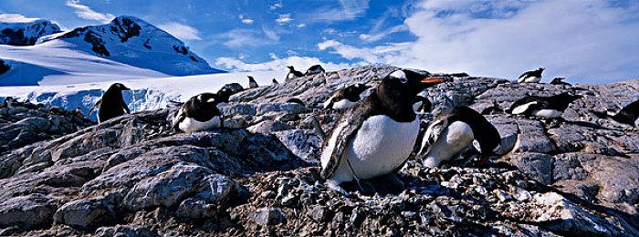 Steam新一周销量榜：《明末：渊虚之羽》排名大降 竟成守门员！